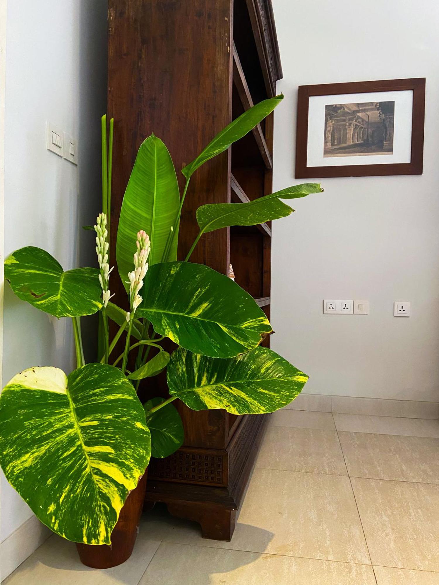 Raaga Samudra Lodge *